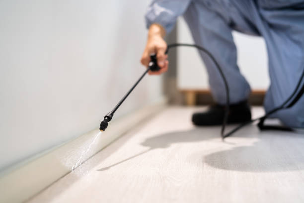 Licensed Pest Control service in Colstrip, MT - Show Me Pest Control