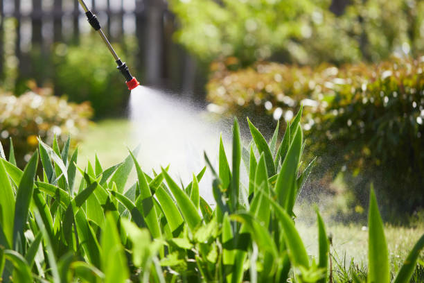 Tamper-Resistant Bait Stations for Rodents in Colstrip