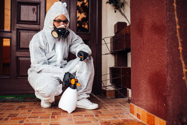 Attic and Crawl Space Rodent Treatment in Colstrip