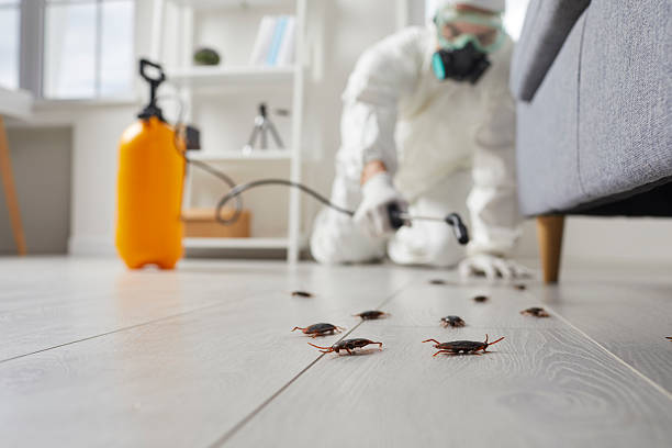 Commercial Rodent Management in Colstrip